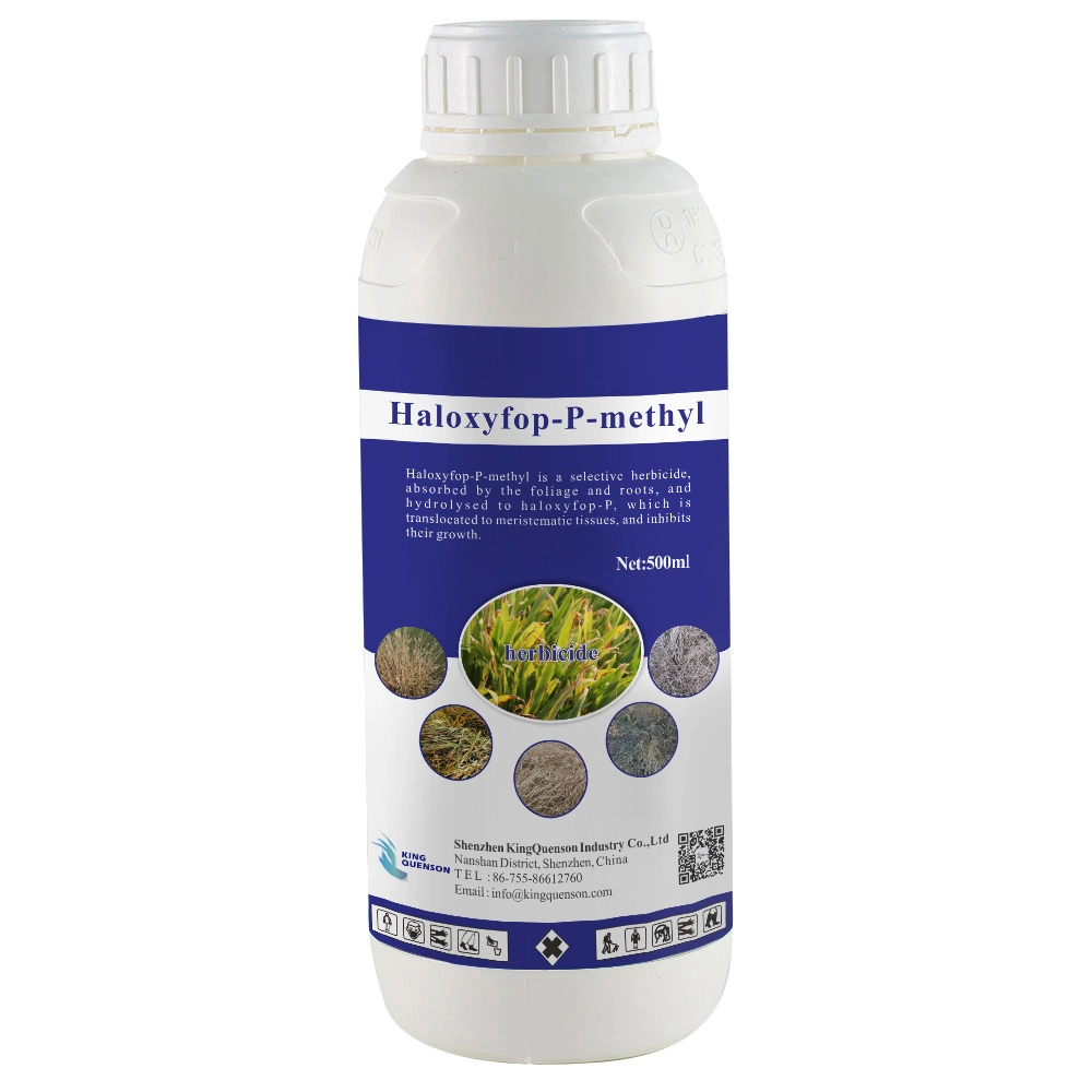 Le Roi contre les mauvaises herbes des herbicides Quenson 98 % Tc Haloxyfop-P-méthyl 108 g/L EC