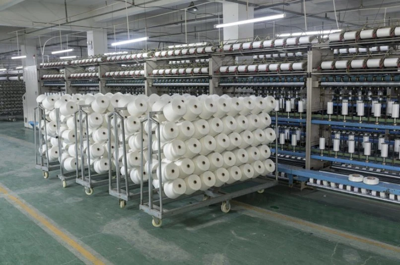 DTY/FDY Flame Retardant Polyester Yarn for Textile