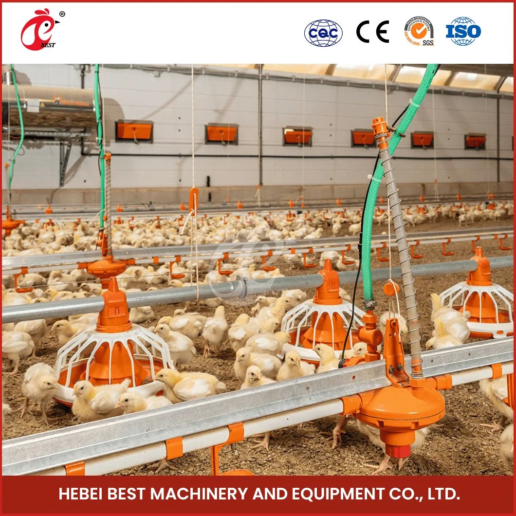 Bestchickencage Broiler Deep Litter System Großhandel China ABS Engineering Plastics Material Deep Litter für Broiler Hersteller