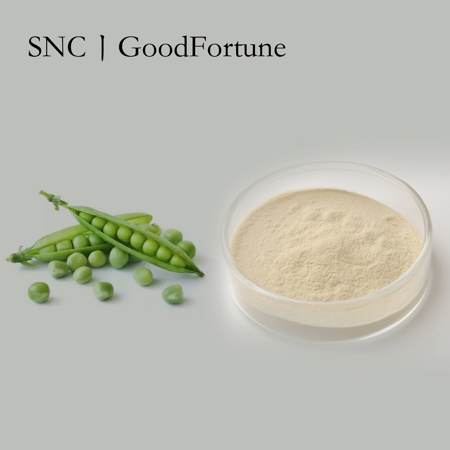 High quality/High cost performance Best Price Yellow Powder Organic Pea Protein 85%