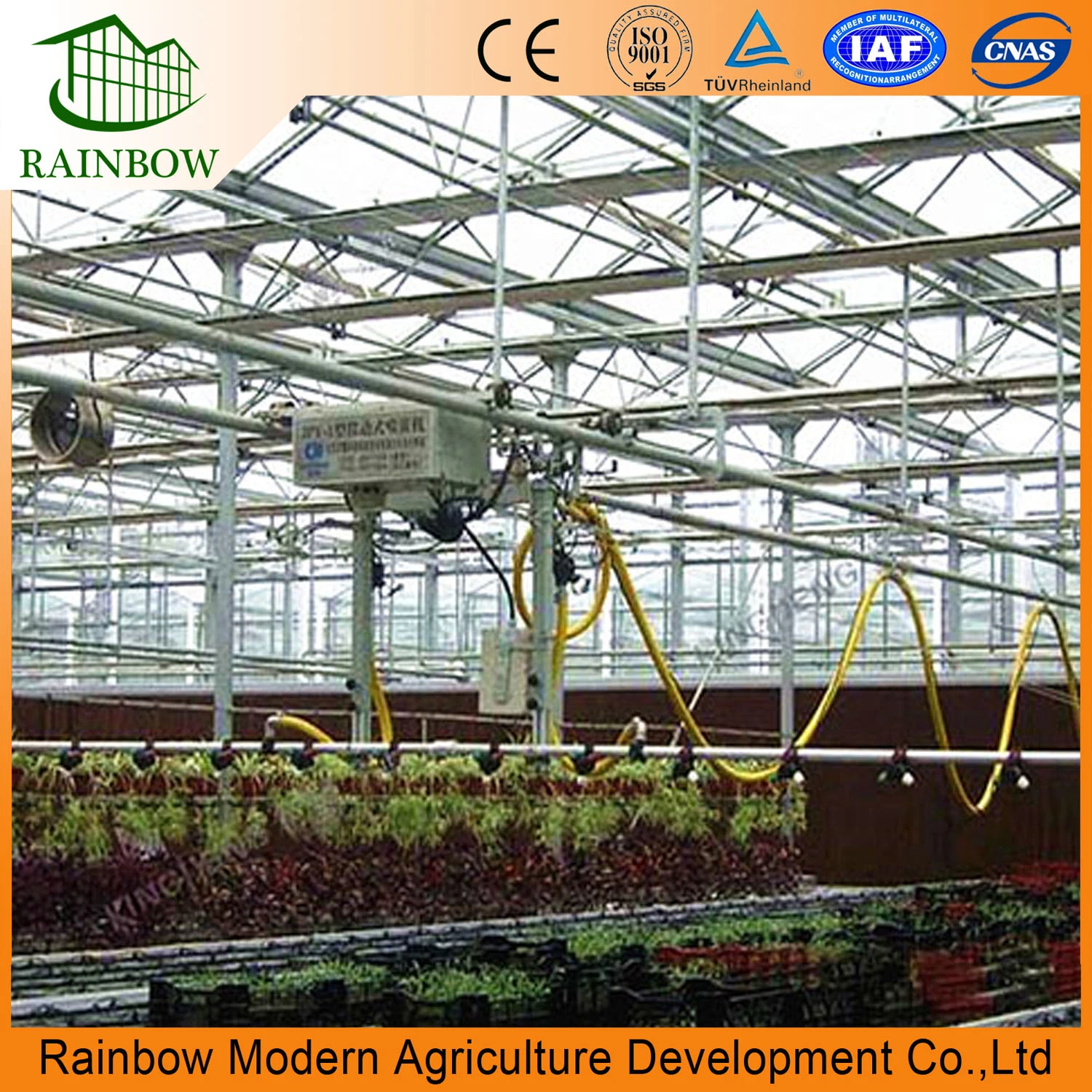 Multi Span Plastic Greenhouse Spray System