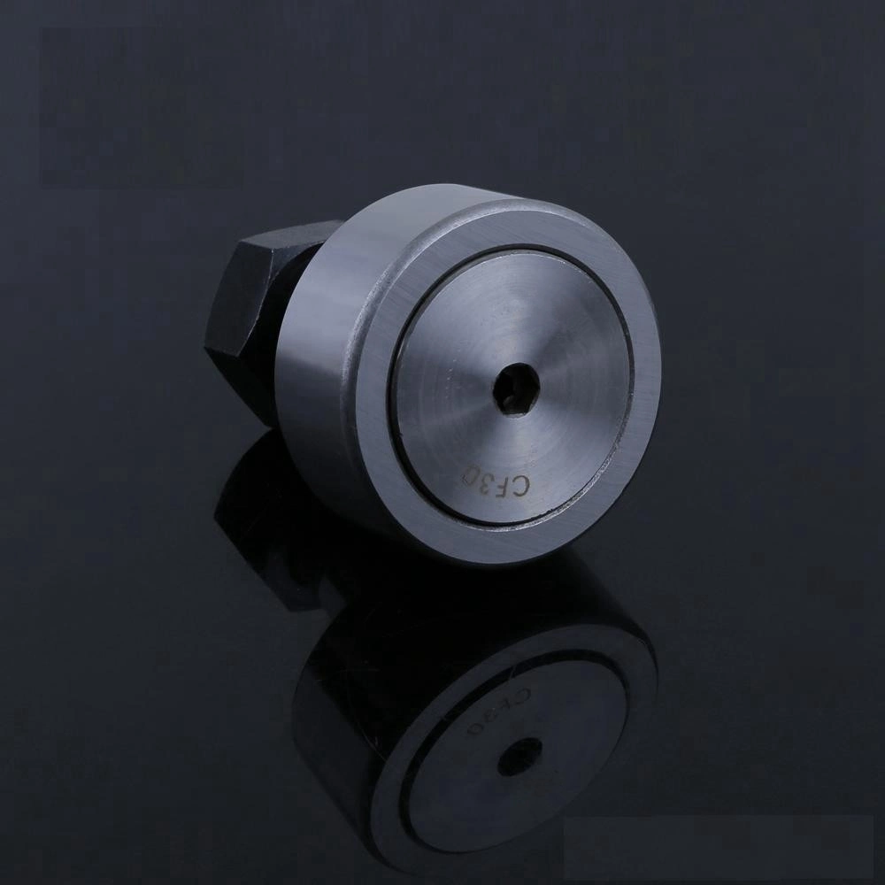 Mcgill NSK Cam Follower Bearing Cam Follower Supporting Roller Bearings Natv 5 Natv 6 Natv 8 Natv 10 Natv 5 PP Natv 6 PP Natv 8 PP Natv 10 PP