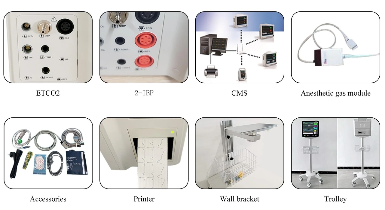 Veterinary 6 Parameters Vital Sign Devices Portable Animal Patient Monitoring Price