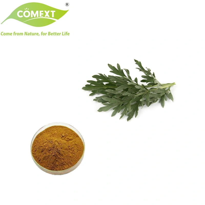 Комекст китайской травяной заводе сушеный сладкий тюрьмы Вормвуд травы Artemisia Capillaris для медицины использование