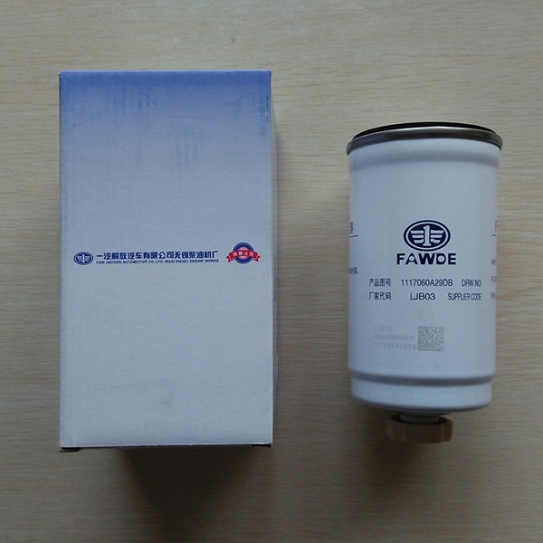 Xichai Special Spare Parts Draw No. 1117060A29dB Fuel Filter