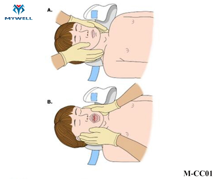 M-Cc01 Emergency Medical Neck Cervical Collar