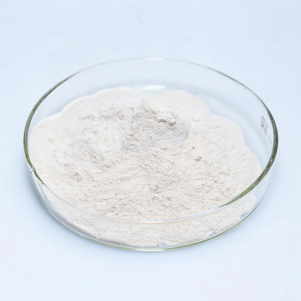 High quality/High cost performance  98% Amygdalin Powder Bitter Apricot Seed Extract/Apricot Fruit Powder Extract