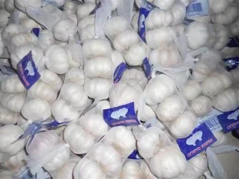 Garlic Red Garlic From Chinese Supplier High quality/High cost performance 