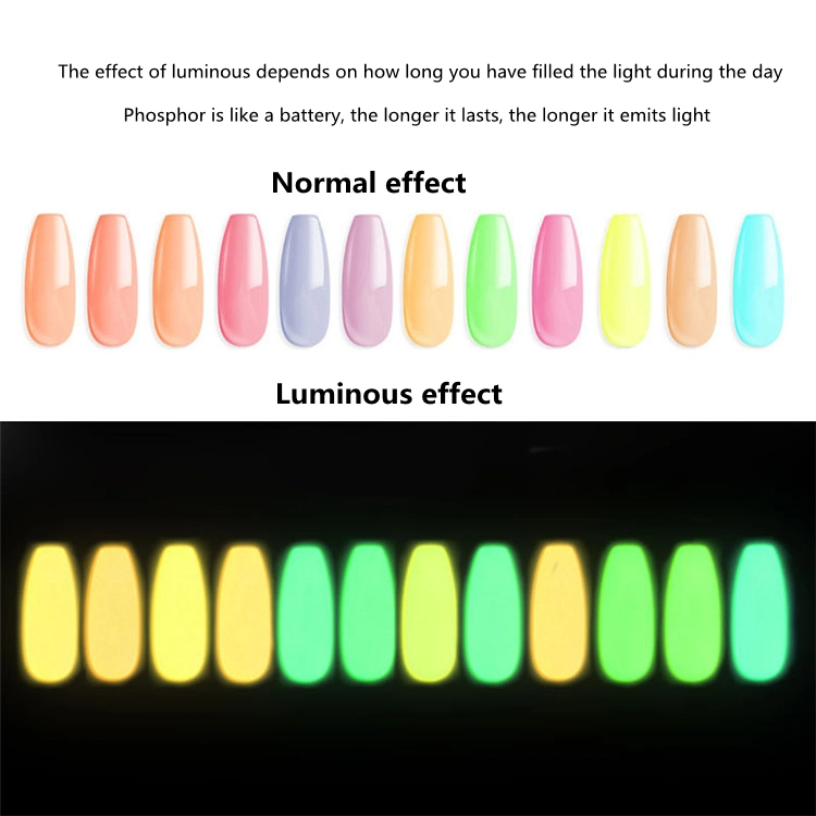 Diseño de uñas Nail polvo luminoso fluorescente brilla en la oscuridad de la uña de pigmento en polvo establecer 12 colores pigmento en polvo acrílico para uñas