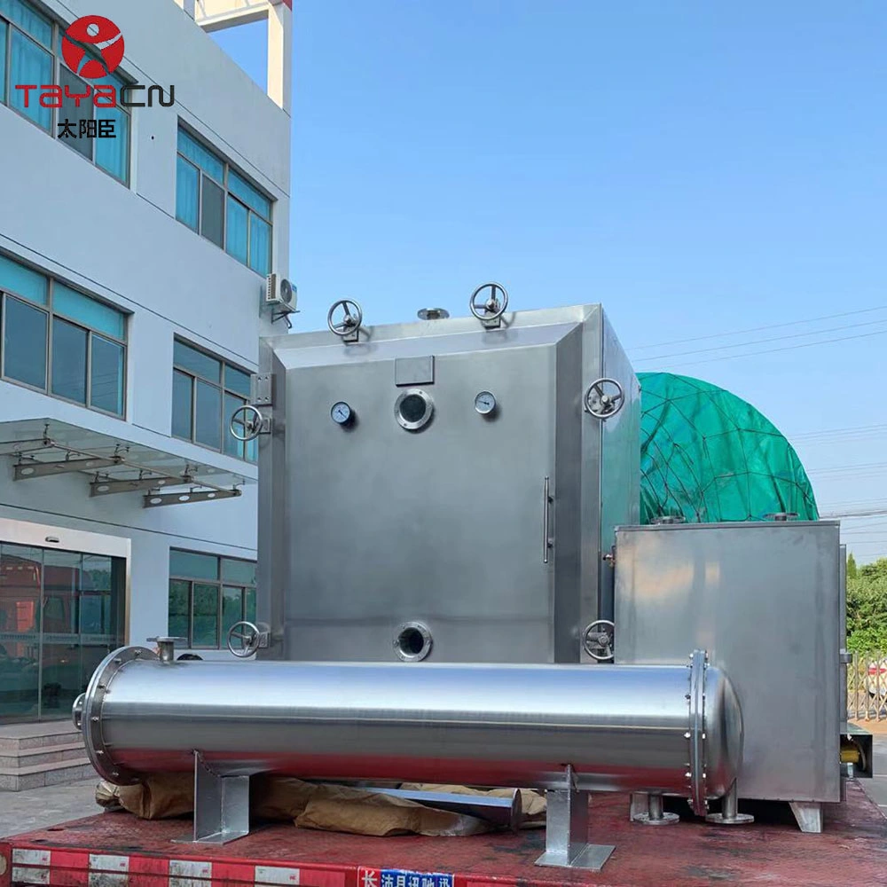 Fzg Series GMP Static Vacuum Drying/Dry/Dryer/Drier Equipment for Medicine