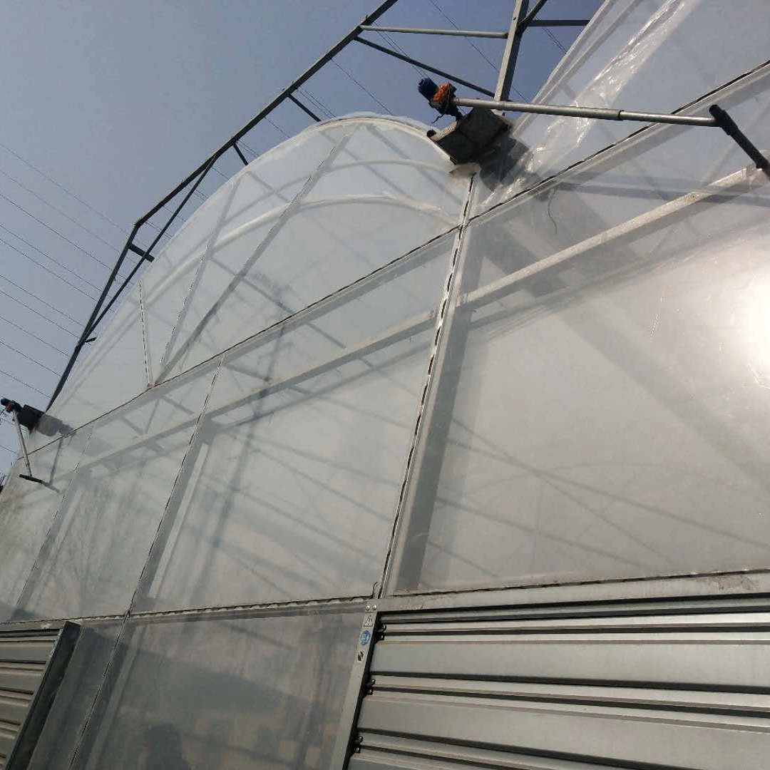 Promotional High quality/High cost performance  Multi-Span Plastic Film Greenhouse