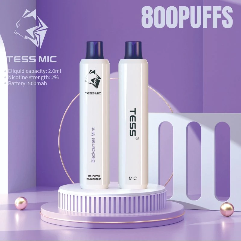 Wholesale/Supplier Disposable/Chargeable Vape 800 Puffs 10 Fruit Flavor Electric Hookah Vape Pen