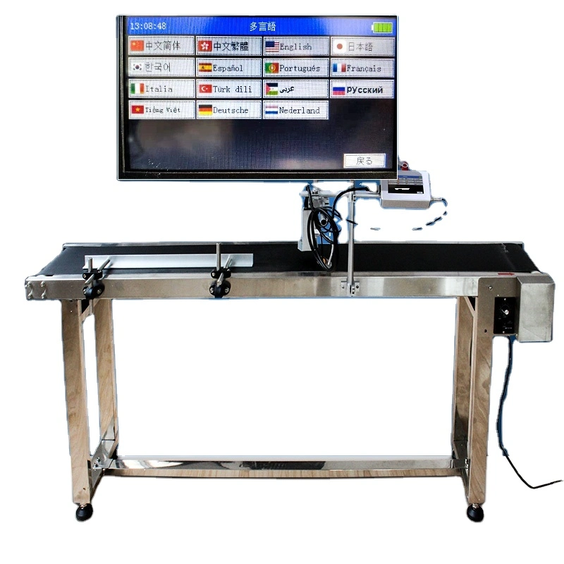 Impresora automática de inyección de tinta en línea para cajas de botellas de bolsa de plástico