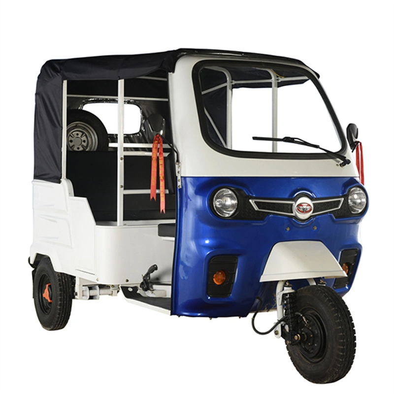 Qiangsheng E Vehicle Auto Rickshaw Electric Adult Tricycle Trike Motorcycle