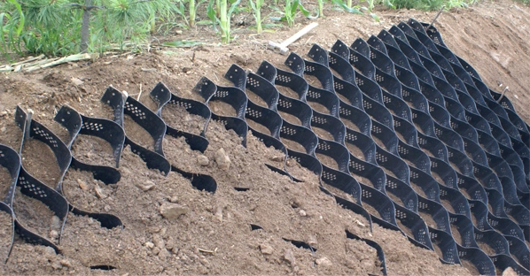 Produits géosynthétiques HDPE Geocells pour le stabilisateur de sol de mur de soutènement de l'allée