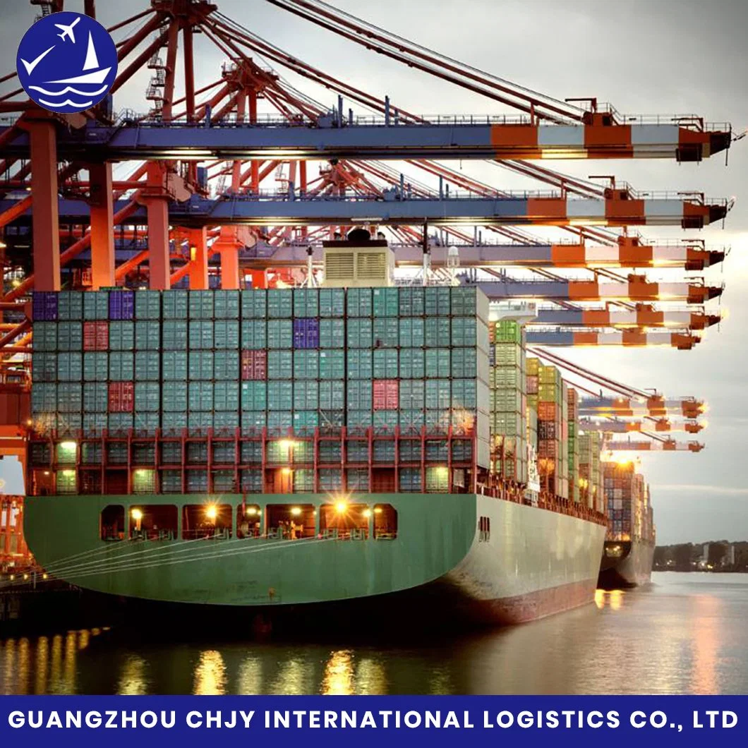 Zuverlässige und professionelle EXW, fob, CIF, DDU, DDP DAP International Shipping Agent aus China zu uns