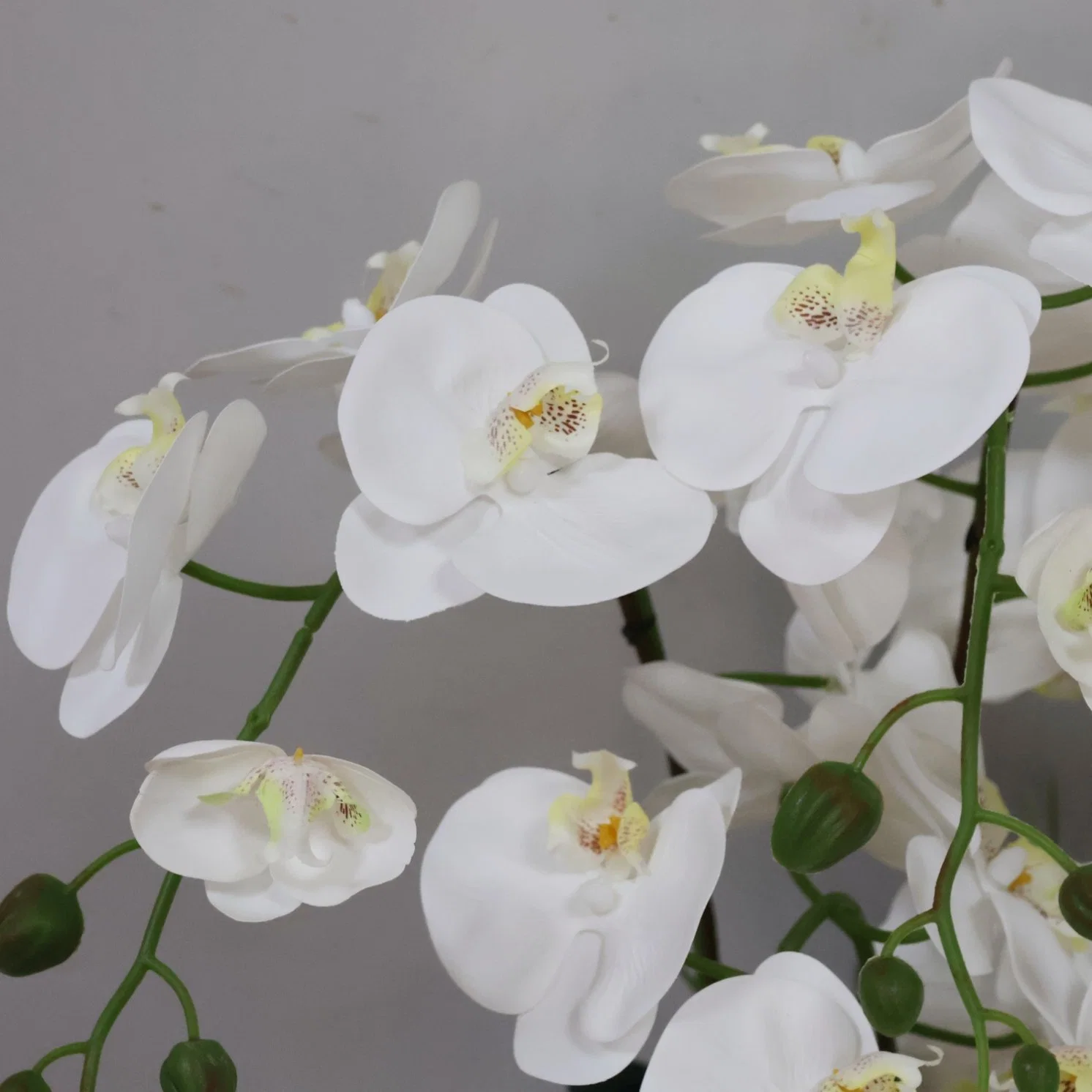 Hot Sale Dried White Moth Orchid Artificial Plant Silk Flowers for Decoration