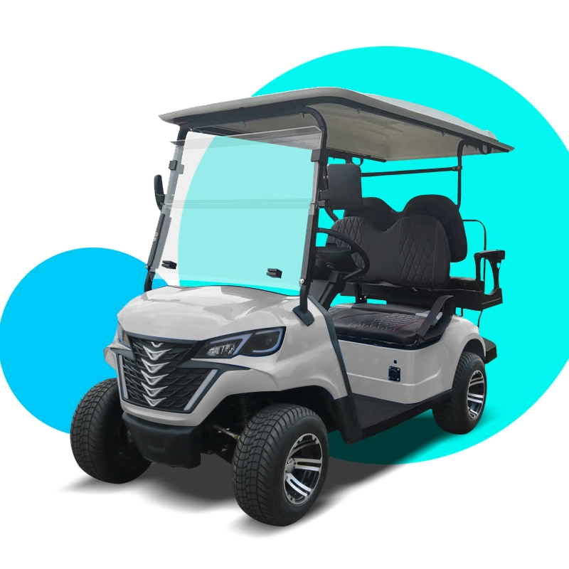 China Golf Carts 2+2 Seater Forge G2+2 Lithium Battery Mini Golf Cart Golf Buggy with Great Price