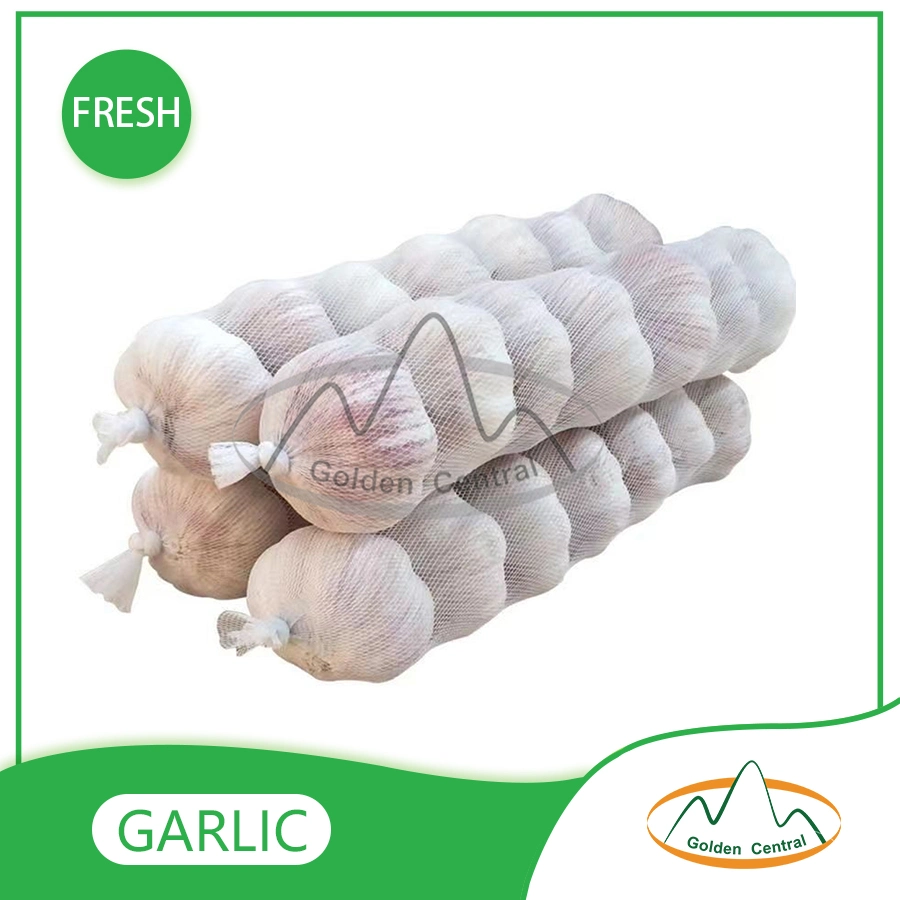 Lowest Price High Grade Pure White Garlic