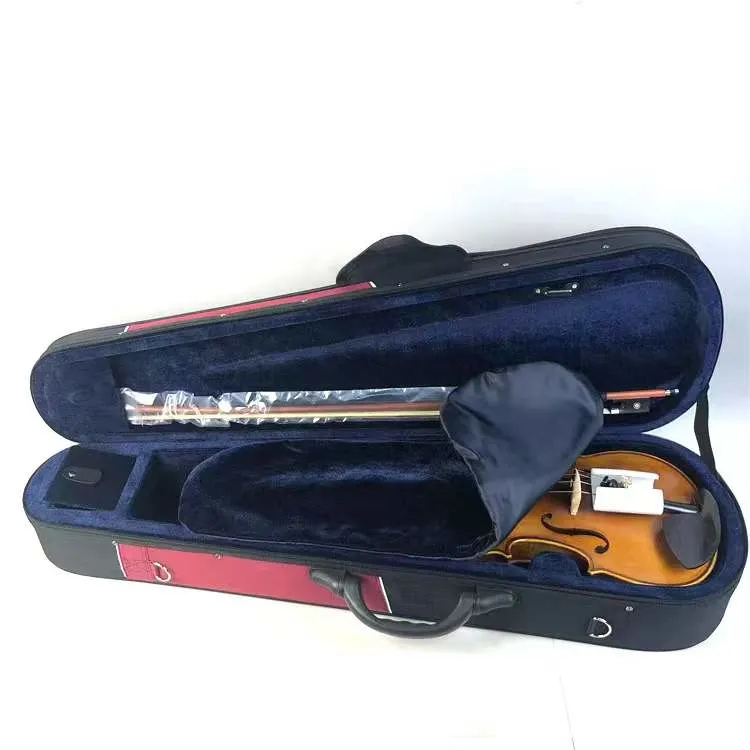 Colorido Deluxe Foamed Triangle Shape Violin Light Case