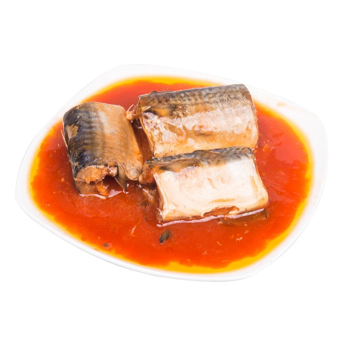 Canned Pacific Mackerel in Tomato Sauce 155gx50tins Supplier