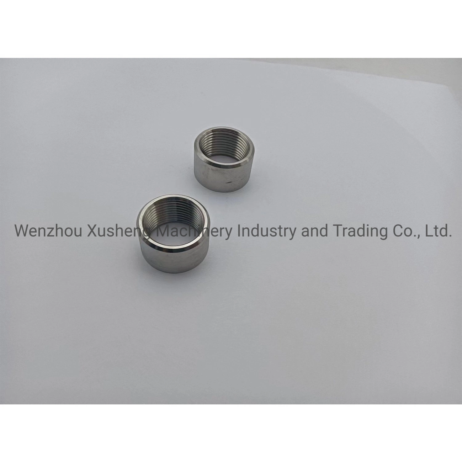 Sanitary Stainless Steel SS316 Custom BSPT Fittings for Pharmacy