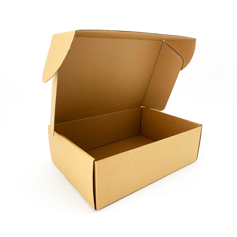 Personnalisé Papier Carton Ondulé Boîte d'expédition postale de chaussures