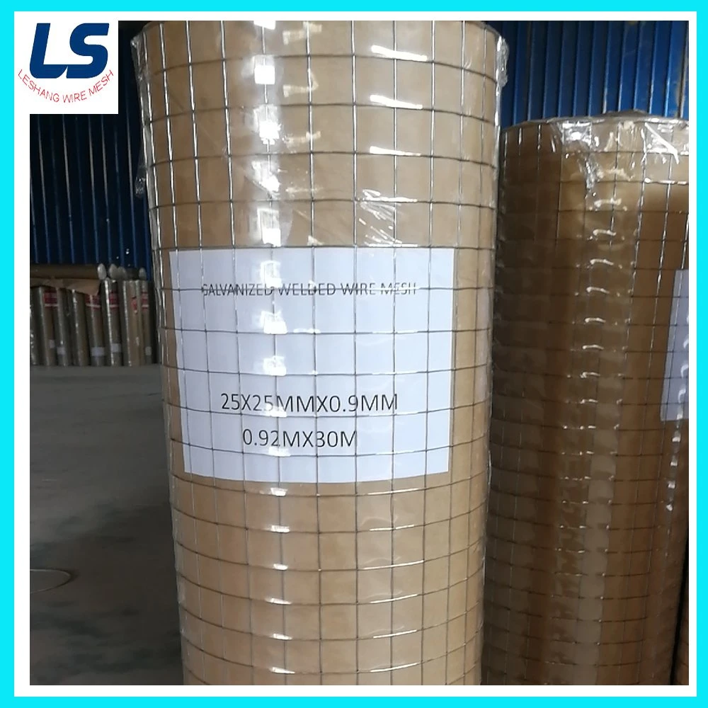 Hot-Dipped Galvanized Welded Wire Mesh with Factory Price