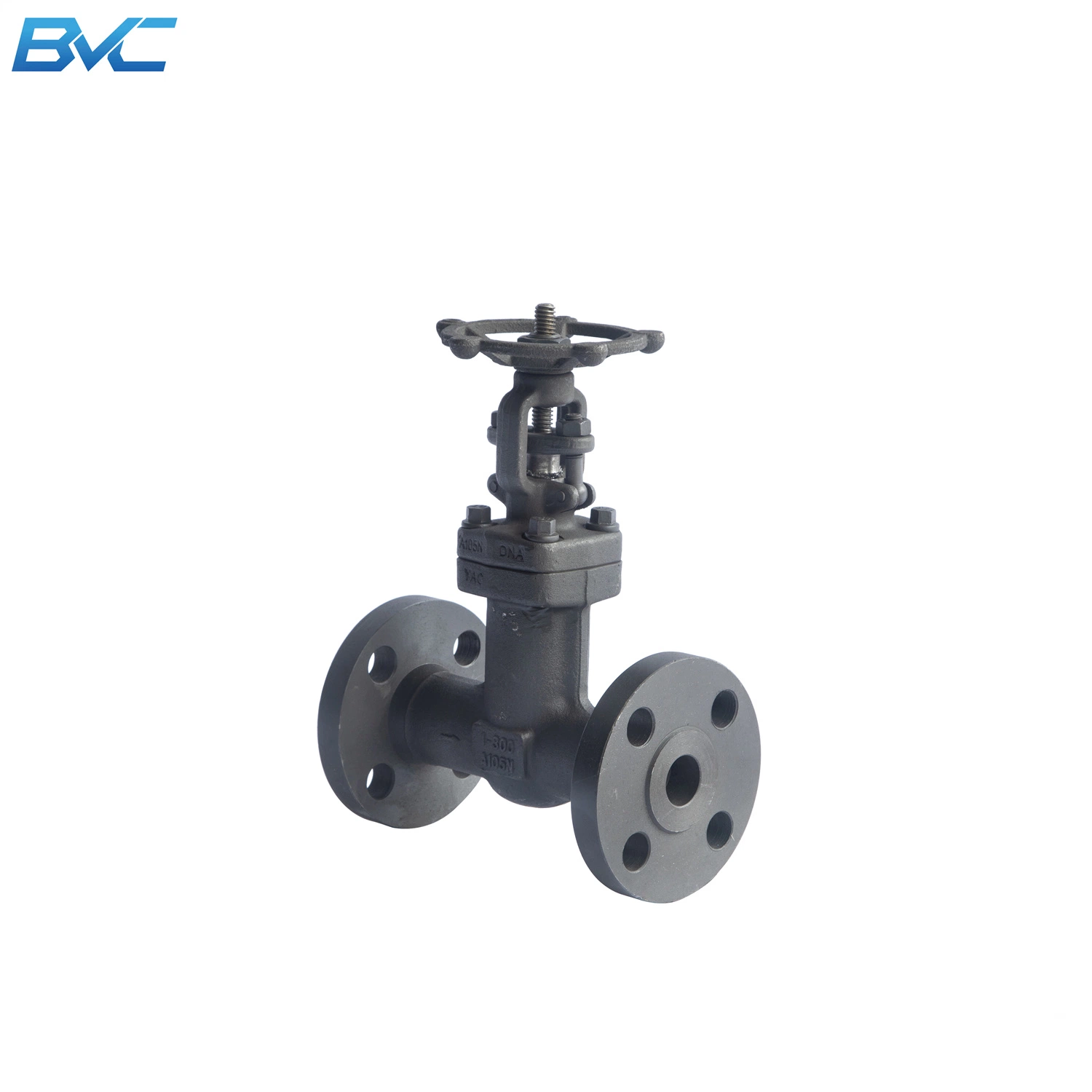 A105n Flanged End Manual Forged Steel Gate Valve with Price List