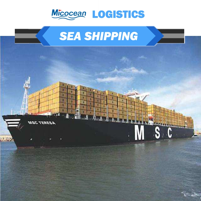 Provide FCL / LCL Shipping Service DDP DDU Sea Freight From China to Jordan