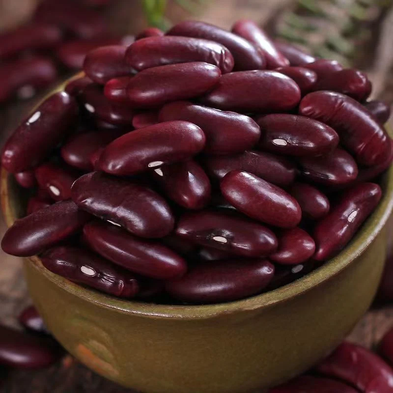 Dark Red Kidney Bean Top Quality