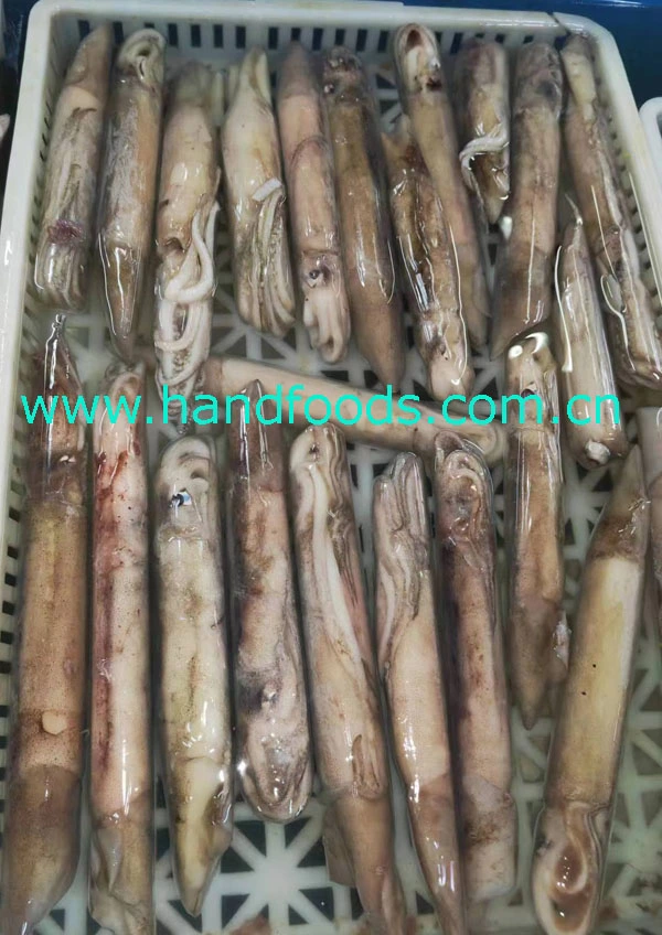 Cheap Price Hot Sale Seafood of Frozen Illex Squid