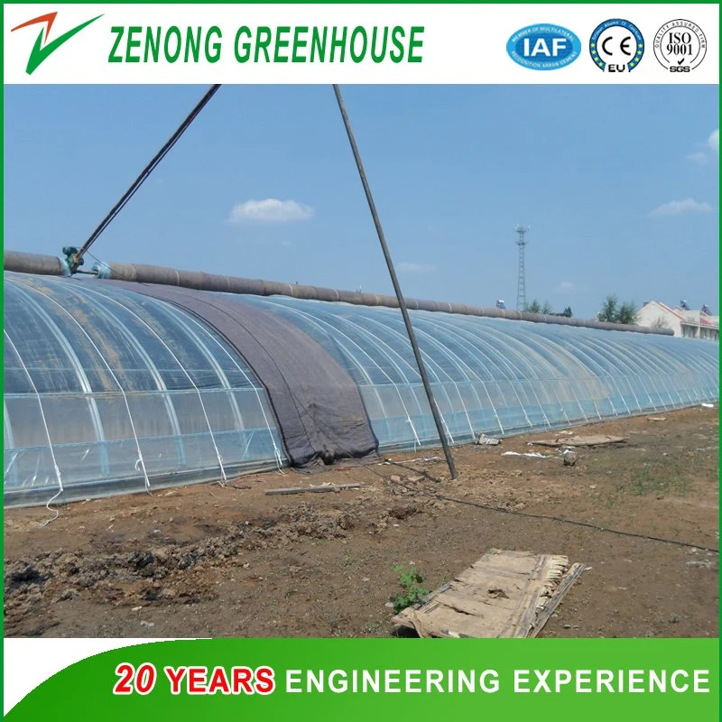 Anti-Season Vegetable Greenhouse for Tomato/Watermelon/Strawberry/Cherry/Mushroom