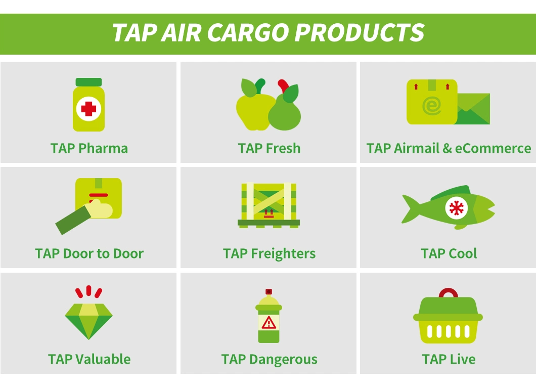 Air Freight Forwarder Services, From Shenzhen, China to Salvador, Brazil by Tap Portugal