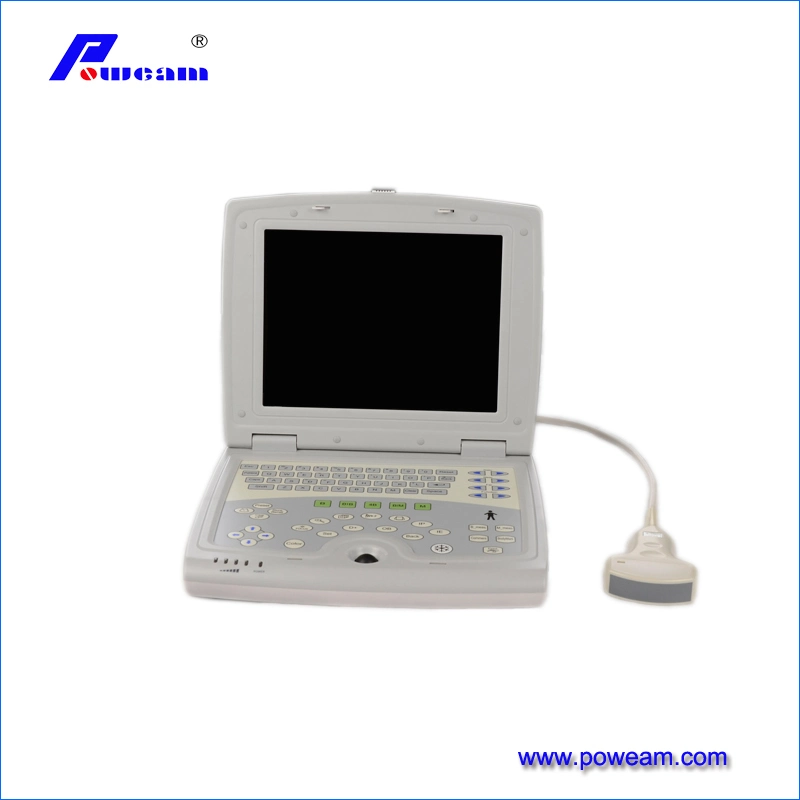 Good Quality Full Digital Laptop Vet / Echo / Ultrasound Scanner