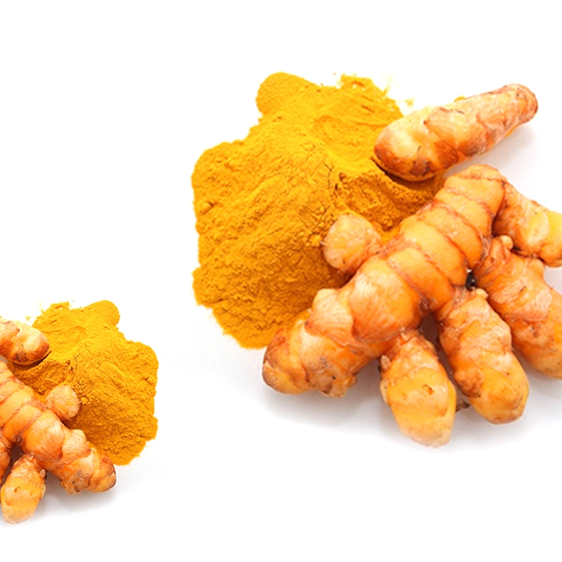 Pigment alimentaire naturel en vrac le curcuma Curcumins extrait de racine de 95 % Poudre