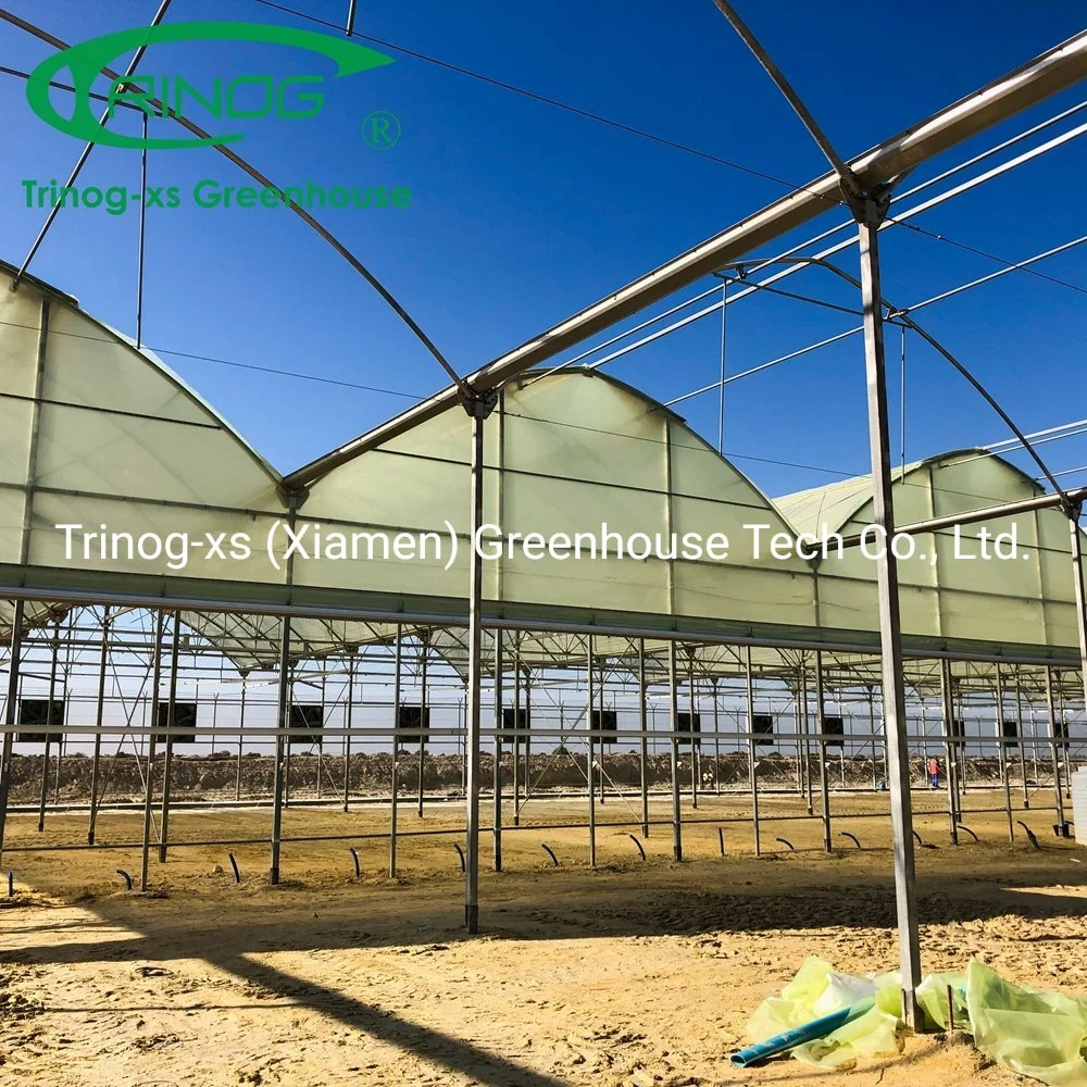 Trinog greenhouse plastic film galvanized zinc coat frame greenhouse for flower house