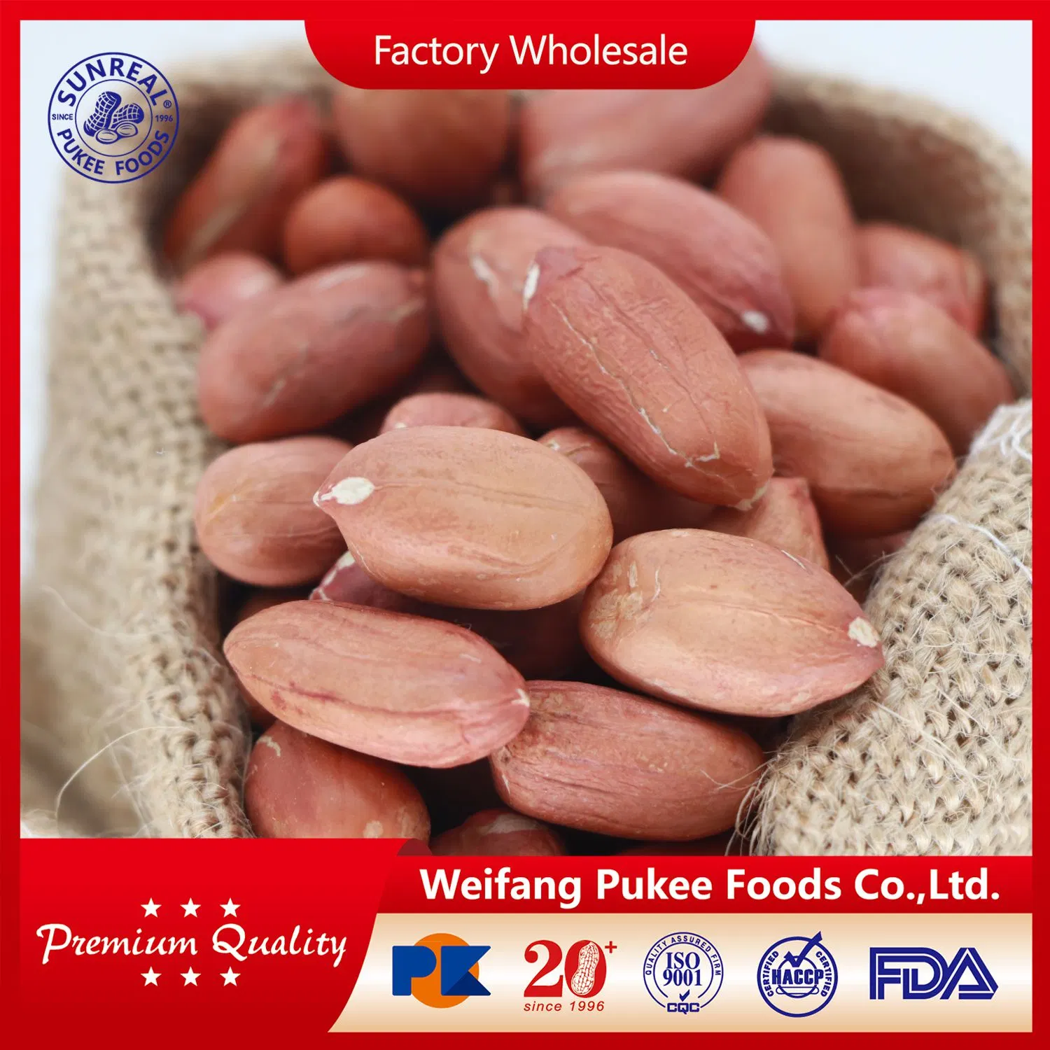 Raw Peanut Kernels /Long Type 24/28 China