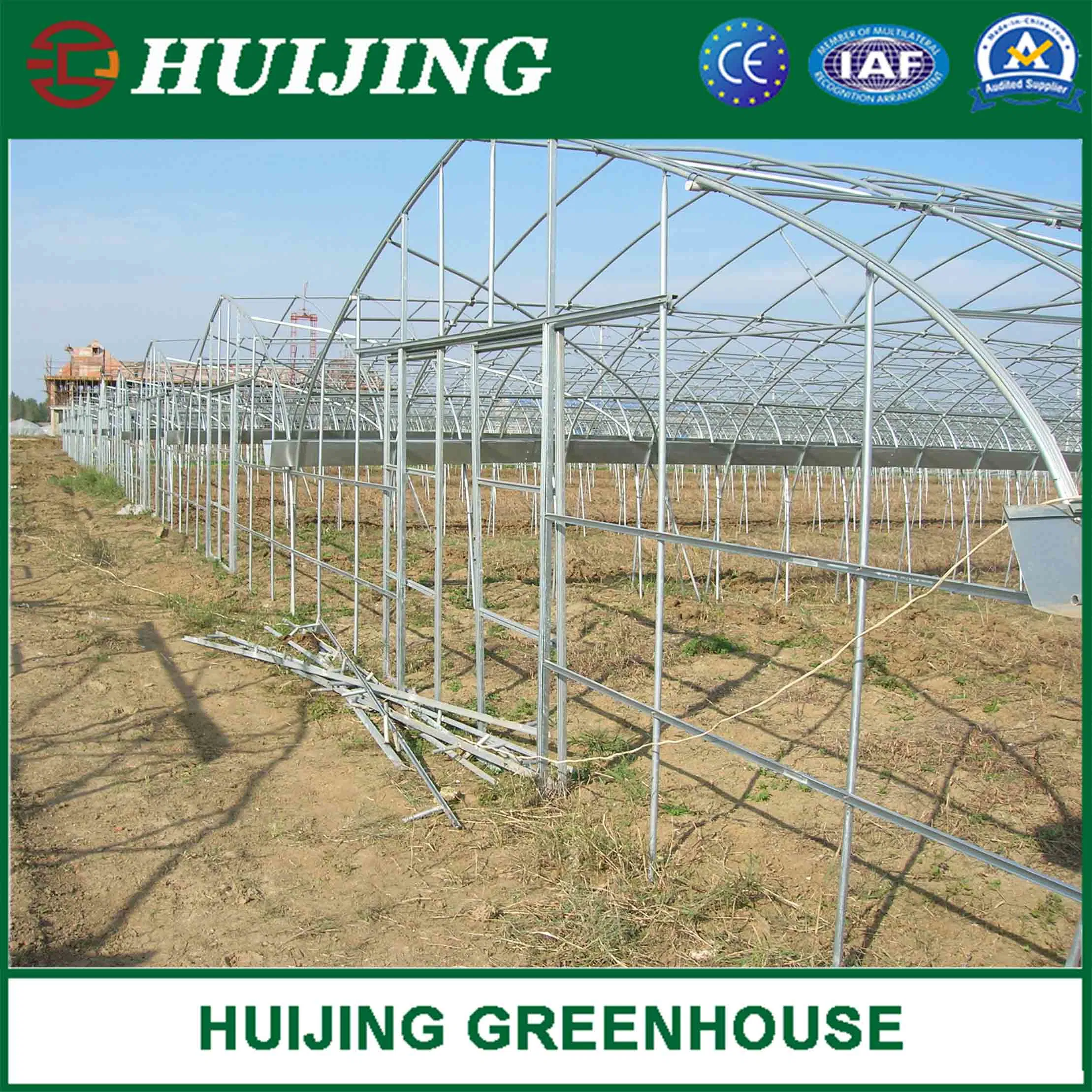 Economical Single Span Tunnel Greenhouse for Vegetables Fruits Flowers