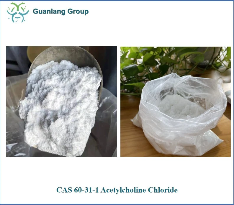 Factory Supply CAS 60-31-1 Acetylcholine Chloride with Best Price