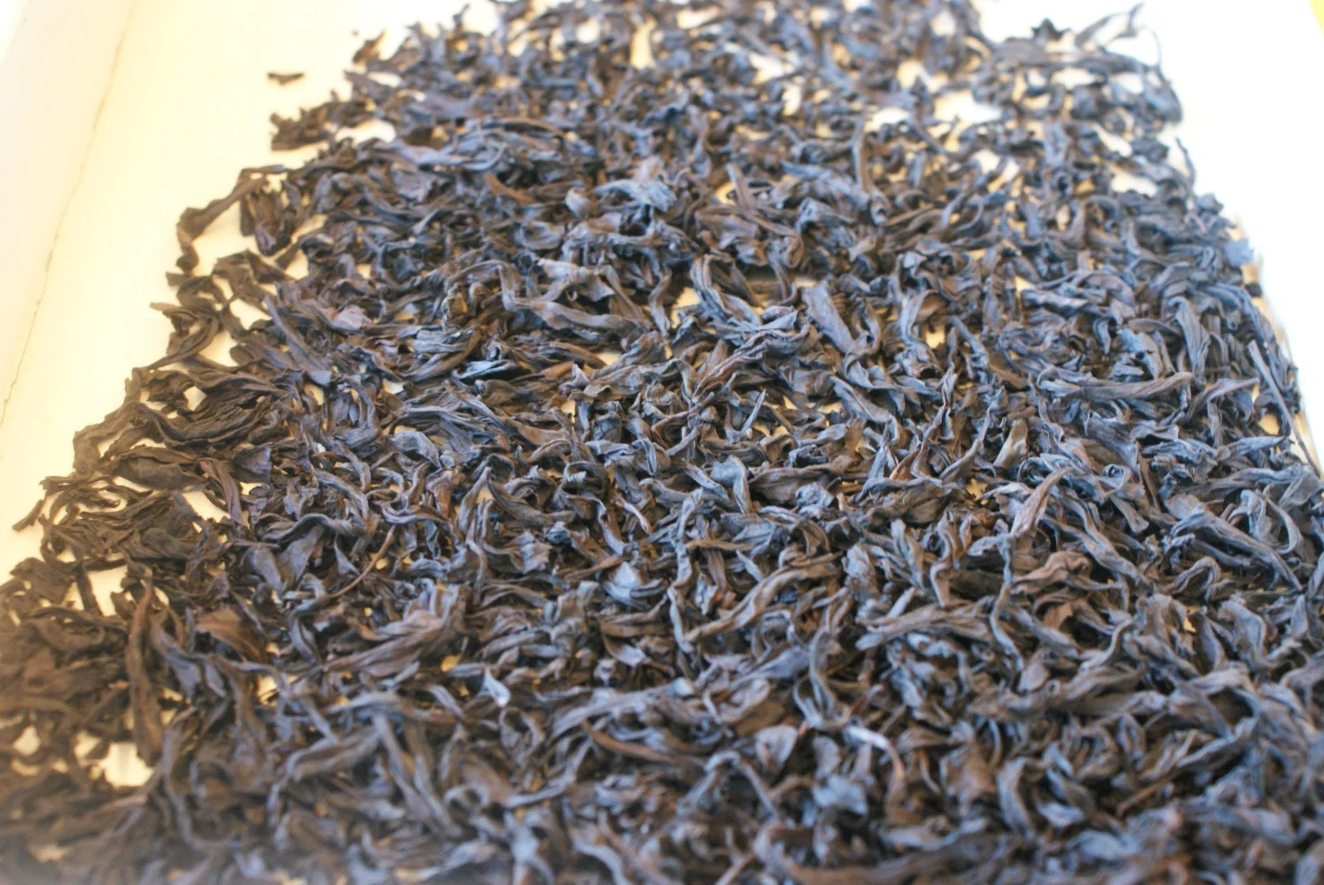 Organic Thé Oolong Dahongpao Big Red Robe cadeau thé chinois