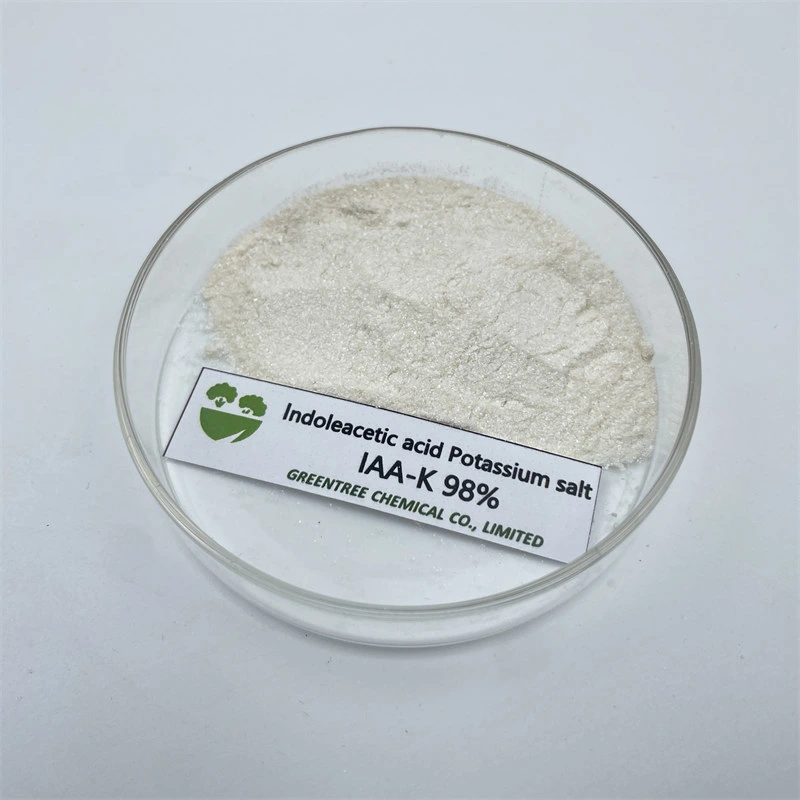 Cas 2338-19-4 régulateur AUXIN usine acide indolacétique sel de potassium IAA-K. 98 %