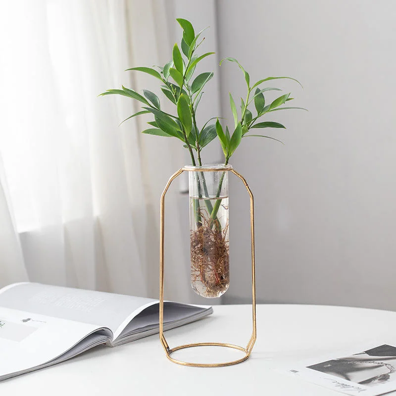 Tubo de ensayo de vidrio de hierro chapado en oro de fábrica Verde hidroponico floral simple Jarrón de planta