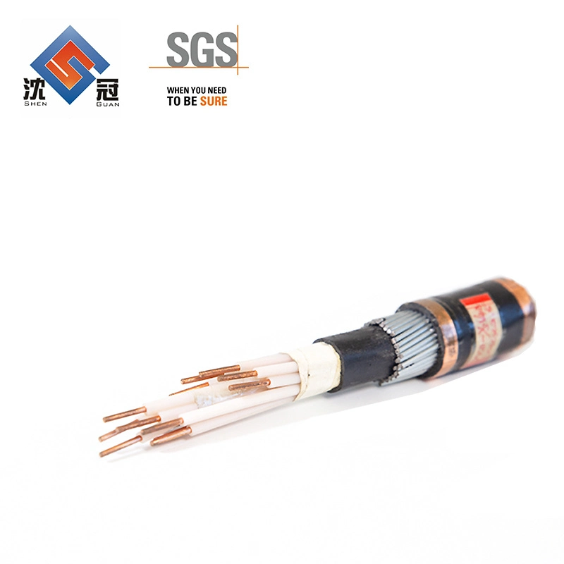 Shenguan 0.6/1kv Testing Computer Instrumentation Cable Single Core Wire AC Power Cord Cable 220V 3.6/6kv 185mm2 Electric Underground Sta Power Cab