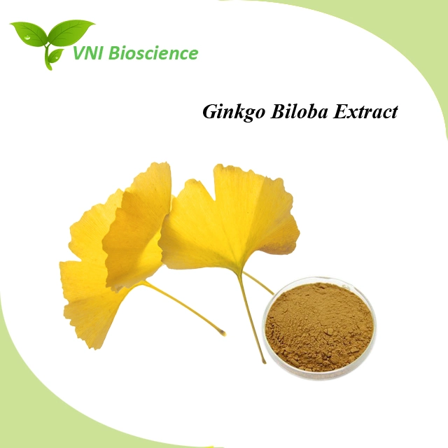 Halal Certified 100% Natural 24%/6% Ginkgo Biloba Extract