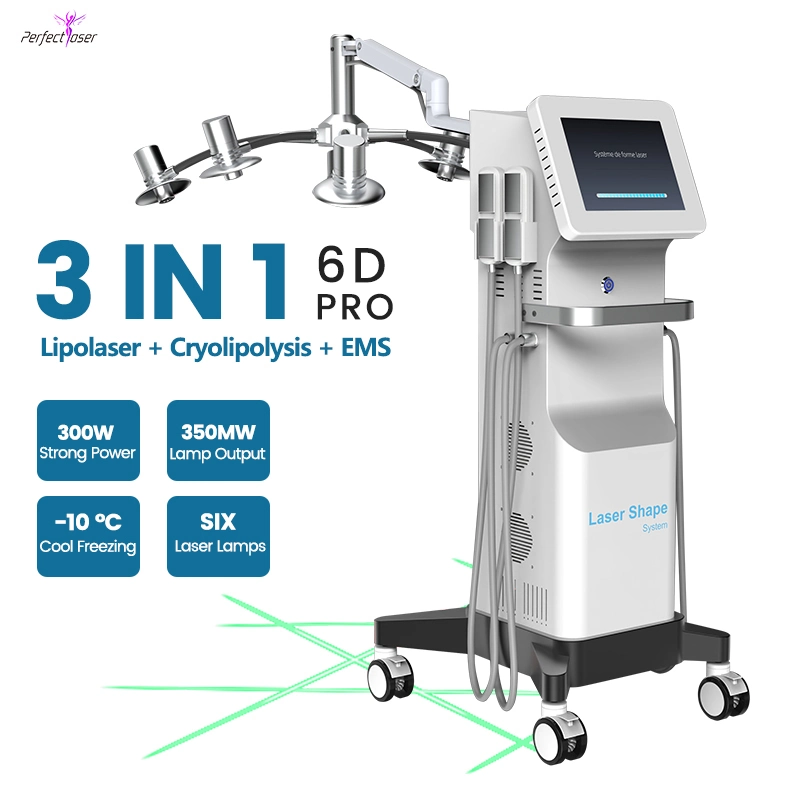 Feux de la qualité de la perte de poids réglable de Corps de Lumière froide Machine Slim