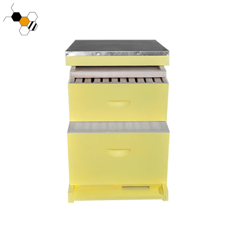 Hot Sale jaune Ruches d'abeilles pour la vente de miel ruche Langstroth