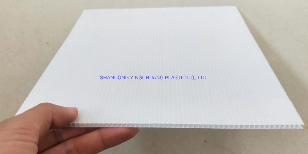 PP Sheet PP Hollow Sheet PP Corrugated Sheet Polypropylene Sheet