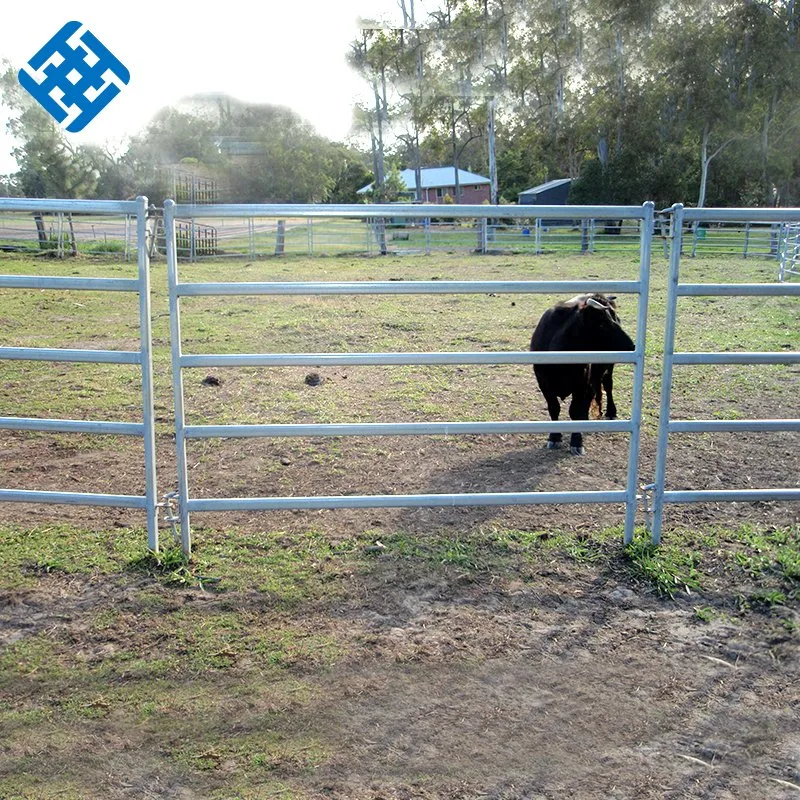 Lower Price Cattle Fence/Used Horse Fence Panels