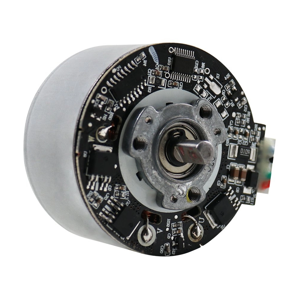 Outer Diameter 55mm Brushless DC High Performance Motor with Controller